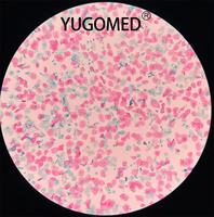 Pre Cleaned Positively Charged Adhesive Glass Slides with Frosted Marking Area for Cytology Processors and Staining Workflow