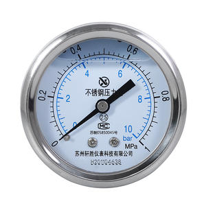 Manomètre en acier inoxydable Suzhou Xuan Sheng 60 mm 1 MPa 10 bars, double échelle, analogique, montage horizontal - Product Image 1