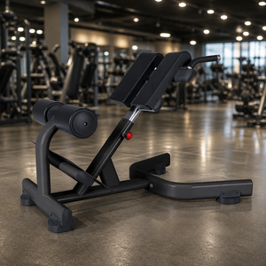 Chaise romaine de qualité professionnelle, banc d'hyperextension, structure stable pour salle de sport et centre de fitness - Product Image 2