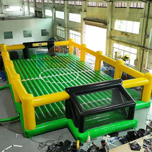 Terrain de football gonflable de sport en plein air en PVC personnalisé de 0,55 mm d'épaisseur, amusement pour enfants, installation facile, capacité de 1000 kg, <span class=keywords><strong>château</strong></span> CE - Product Image 1