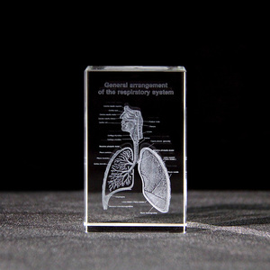 Bác sĩ của lưu niệm cơ quan con người hệ thống hô hấp mô hình hiển thị tinh thể 3D laser khắc Glass cube bán buôn - Product Image 3