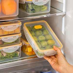 Oem Modern Portable Plastic Storage Box With Handle Crisper Sets for <b>Kitchen</b> Use Fruit Container for Picnics and Travel - Product Image 4