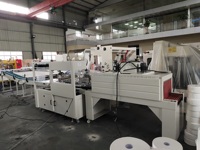 Machine d'emballage automatique sous film rétractable Xinyun pour rouleaux de papier toilette Maxi/Jumbo, certifiée CE, moteur à engrenages 220V/380V