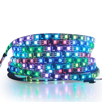 Tira de LED RGB de 10M 5050 SMD, 60LED/M, 12V/24V, 144 dirección programable inteligente WS2812B, píxel direccionable individualmente por USB WS2812