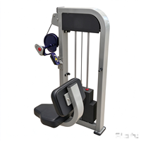 Machine à extensions dorsales à charge libre pour salle de sport, à mouvement fluide, très demandée pour l'entraînement