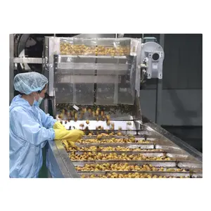 Mango Juice beverage Making machine Mango Pulp Processing Production Line