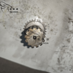 Taluada Graafmachine Planetaire Onderdelen <span class=keywords><strong>Cat</strong></span> E200b <span class=keywords><strong>Travel</strong></span> Motor <span class=keywords><strong>Gear</strong></span> Primaire Planetaire Versnelling Rijden Zon Versnelling - Product Image 4