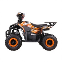 Quad Tao Motor 2027, nouveau modèle automatique avec transmission par chaîne inversée, roues de 7 pouces, certifié CE EPA, 110cc, pour enfants