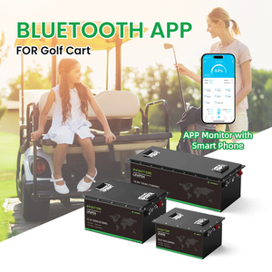 Batteria LiFePO4 72V 100Ah, Batteria agli Ioni di Litio 48V 36V 60Ah 120Ah 200Ah 300Ah con BMS Intelligente per Golf Cart e Macchine Spazzatrici - Product Image 2
