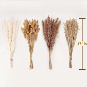 Petit bouquet de fleurs séchées, herbe de la queue de lapin, herbe de la <span class=keywords><strong>pampa</strong></span>, style bohème écologique, pour usage intérieur, cadeaux d'affaires, fleurs - Product Image 3