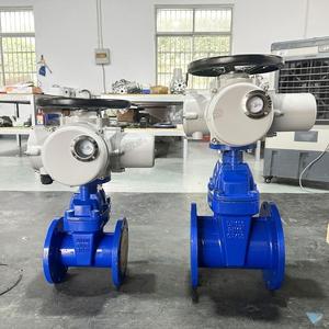 Vanne Intelligente Automatique de 6 Pouces, Contrôle Automatique, Indice de Protection IP67, Pression PN16, Certifiée CE, Corps en Fonte Ductile Z945X - Product Image 4