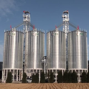 Nuovo Silo Verticale in Acciaio di Grande Capacità <span class=keywords><strong>per</strong></span> Stoccaggio di Mais, Soia e <span class=keywords><strong>Cereali</strong></span>, Certificato ISO9001, Garanzia di 1 Anno - Product Image 4