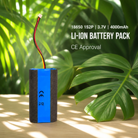 Batterie au lithium 18650 3,7 V 4000 mAh 1S2P en parallèle, pack de batteries, batterie externe, éclairage, fabriqué en Chine, électronique grand public