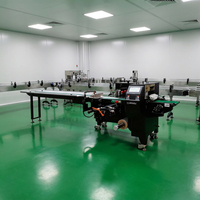 Machine d'emballage horizontale entièrement automatique SZ-350 pour sachets de glaces, sucettes, serviettes, biscuits et autres produits alimentaires à grande vitesse