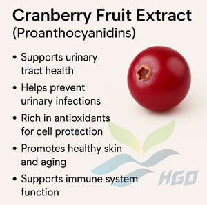 HGO Factory Direct Supply Extrait de fruit de canneberge naturel pur (qualité alimentaire) Proanthocyanidines 50% (extrait standardisé) - Product Image 5