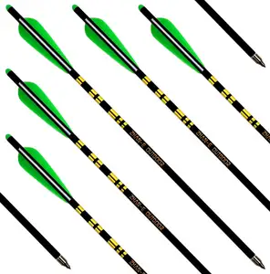Mischen Sie Carbon Arrow Armbrust Bolzen gewebte Schicht mit Vanes Archery Compound Arrow Armbrust