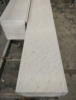Panneau mural extérieur préfabriqué pour maison modulaire, panneau en métal PU sculpté, imperméable, revêtement décoratif, texture blanche, rayures verticales