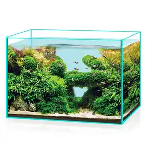 Nouveau Style Aquarium de grande taille Ultra clair sans bords en verre à faible teneur en fer Aquarium en verre rectangulaire avec une bonne Dissipation de la chaleur