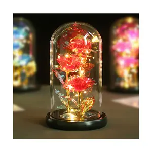 Ammy 24k gold flower New Design Beauty And The Beast Rose Wholesale Preserved Eternal Roses With Led Lights In Glass Dome
