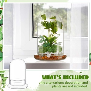 Klares Glas-<span class=keywords><strong>Terrarium</strong></span> Pflanzgefäß mit Kuppel, Luftlöchern & Basis für Gartenpflanzen - Handgeblasen, Handgefertigt, Umweltfreundlich - Product Image 3