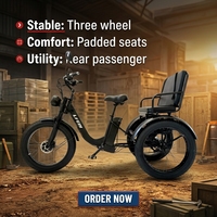 Tricycle à pneus larges pour la neige, certifié EEC, moteur central 750W sans balais, 3 places, trike cargo, batterie au lithium, pour adultes