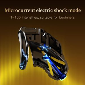An electric shock Chastity Cage Include 4 rings and 2 keys <b>Remote</b> and APP <b>control</b> the 10 frequencies <b>vibrating</b> - Product Image 2