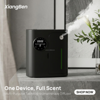 Diffuseur d'air intelligent électrique sans eau à double liquide, grande capacité, contrôlé par application WiFi, pour usage commercial et domestique, à fixation murale