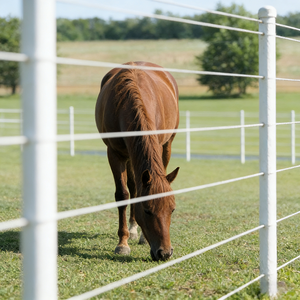 Postes de Cerca Eléctrica de Fibra de Vidrio Resistentes a los Rayos UV, Productos Nuevos, Postes de Cerca de Fibra de Vidrio, Postes de Cerca Eléctrica de Fibra de Vidrio, Oferta - Product Image 1