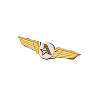 Épingles en métal personnalisées en alliage de zinc 3D émaillé, épingles de sécurité pour vêtements, épingles de revers pour compagnies aériennes, badge d'aile, cadeau