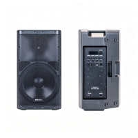 Station audio de scène professionnelle amplifiée 250W 12 pouces avec modes musique FM USB BT 5.2 et haut-parleur passif