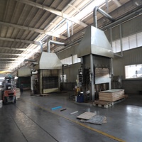 Dalles de sol modulaires emboîtables en contreplaqué de bouleau écologique E0, aspect tissé martelé, pour protection du gazon, pour tentes modulaires portables de villas et événements