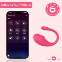 Oeuf vibrant personnalisable pour femmes, jouet sexuel pour adultes, vibromasseur portable, produits pour adultes