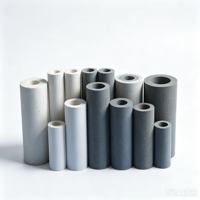 Élément filtrant de sonde d'échantillonnage CEMS en céramique/titane fritté plat |   Filtre à poussière pour gaz de combustion Garantie 12 mois OEM/ODM