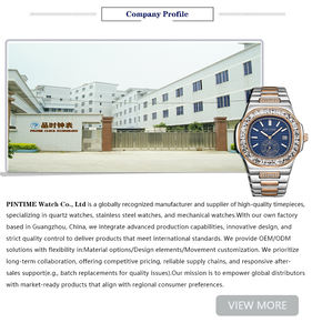 Montre pour homme de haute qualité, style <span class=keywords><strong>Paul</strong></span>, riche, étanche, entièrement en acier inoxydable, montre analogique givrée pour homme - Product Image 6