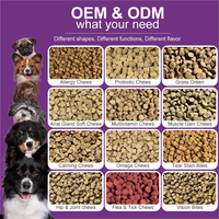 Complément alimentaire pour chiens pour la santé des articulations, soin naturel vétérinaire, comprimés à mâcher souples avec glucosamine, chondroïtine et MSM