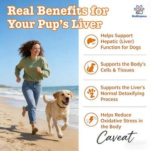 Integratore OEM/ODM per il Supporto del Fegato dei Cani con Estratto di Cardo Mariano, Curcuma e Colina per la Funzione Epatica Canina - Product Image 3