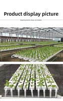 Système de culture hydroponique vertical NFT Seedafarm à haut rendement, haute rigidité, facile à utiliser pour les serres domestiques et les fermes