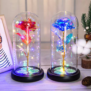 <span class=keywords><strong>Per</strong></span> sempre rosa in una cupola di vetro con luce a Led eterna rosa galassia fiore rosa miglior regalo <span class=keywords><strong>per</strong></span> <span class=keywords><strong>lei</strong></span> il giorno della mamma di <span class=keywords><strong>San</strong></span> <span class=keywords><strong>Valentino</strong></span> - Product Image 3