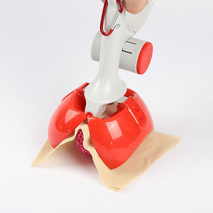 <span class=keywords><strong>Recogedor</strong></span> <span class=keywords><strong>de</strong></span> residuos para mascotas, herramientas <span class=keywords><strong>de</strong></span> limpieza con bolsas para recoger excrementos <span class=keywords><strong>de</strong></span> <span class=keywords><strong>perro</strong></span> y gato, con mango largo, para exteriores - Product Image 3