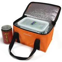 Sac isotherme d'extérieur avec fermeture éclair, sac de pique-nique thermique portable et réutilisable avec poignées et doublure argentée