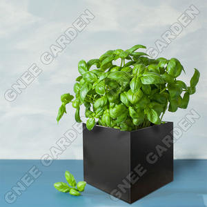 धातु संयंत्र पॉट धातु फूल बर्तन सजावटी प्लांटर फूल बर्तन - Product Image 3