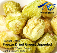 Groothandel Gedroogde Groene Druiven Ongepelde Natuurlijke Zonder Toevoegingen Gedroogde Groene Druiven Snack en Bak Ingrediënten