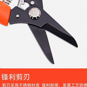 Nice Pruning Shears 6.5 Carbon Steel Straight Head For Fruit Trees And Gardening - Product Image 3