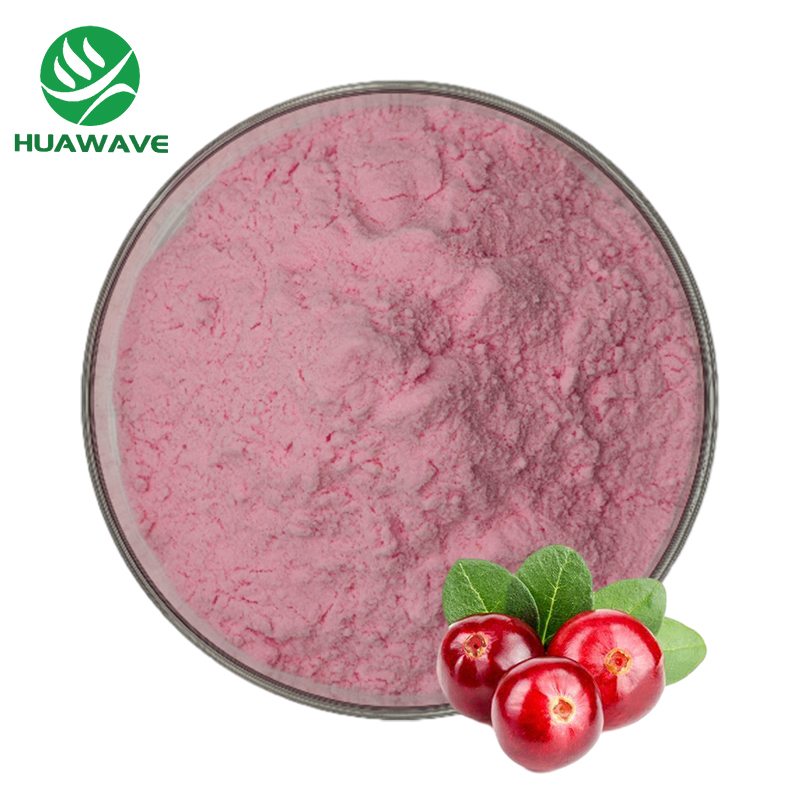 Factory Supply Best Price Cranberry Extract 80% Procyanidine Powder Cranberry Fruit Extract Cranberry Powder