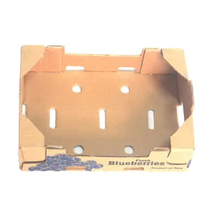 Trockenfrucht-Verpackungs boxen Blaubeer-Verpackungs box Kraftversatz-Wellpappe schachtel