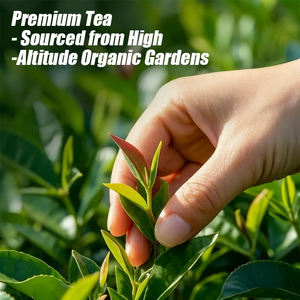 <span class=keywords><strong>Thé</strong></span> vert biologique chinois - pour l'Afrique (Algérie, <span class=keywords><strong>Mauritanie</strong></span>, Sénégal) Meilleure vente, qualité supérieure, frais, personnalisable - Product Image 5