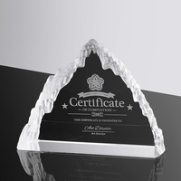 Concours cérémonie de remise de prix Plaque de verre Souvenirs Sublimation Plaques de remise de prix en bois trophée vierge avec boîte en velours