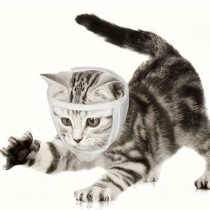 Máscara Transparente para Gatos, Tallas S y M, Anti-Lamido y Anti-Mordida, Protector Facial para Mascotas - Product Image 3