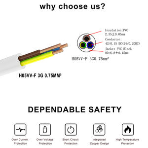 Câble d'alimentation électrique VDE pour appareils électroménagers - Product Image 2