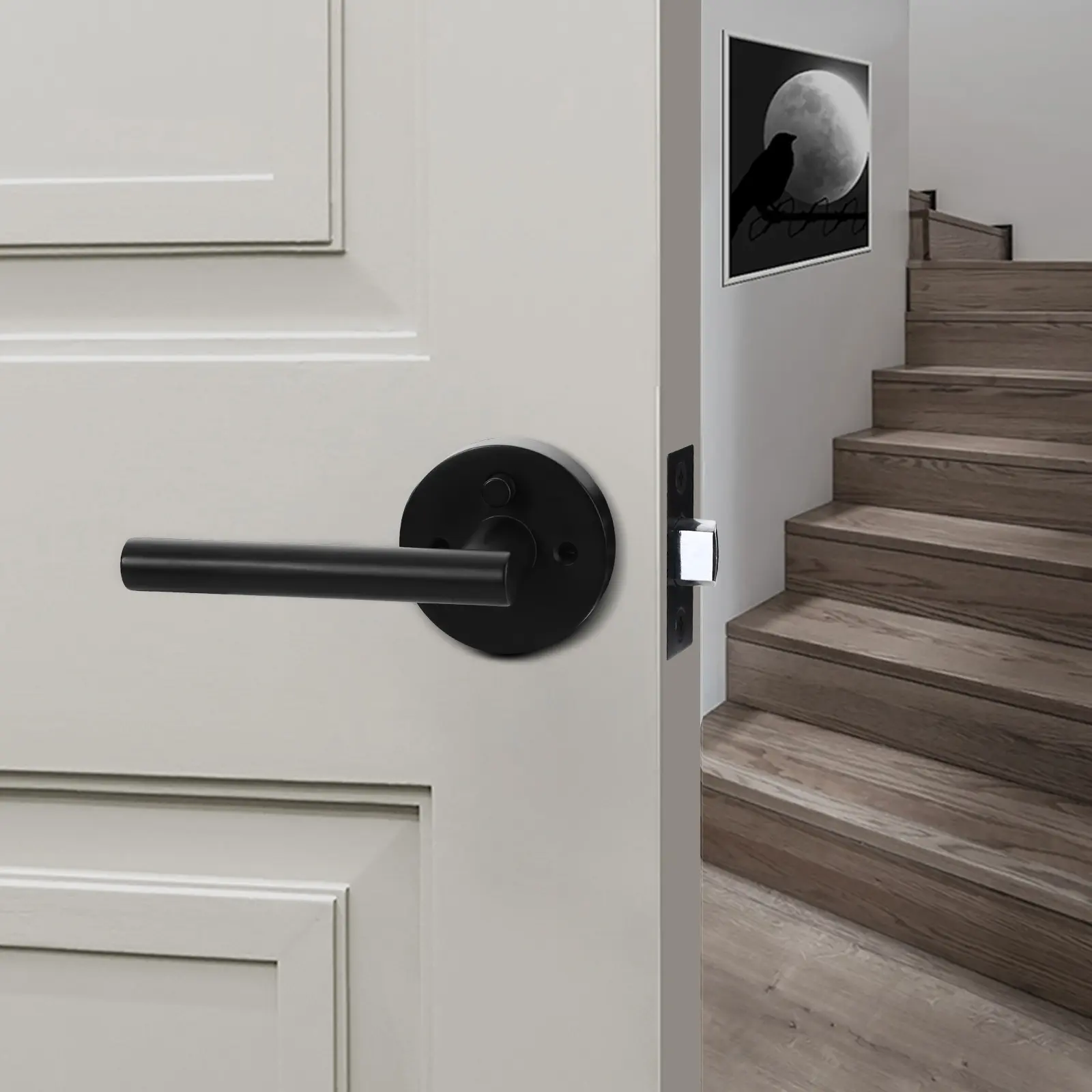 Luxuriöse moderne schwarze und messing-Sichtblende Türschloss-Griff für amerikanische Häuser